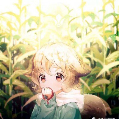 郑丽文率团来访